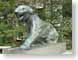 RJW20Princeton.jpg felines cats animals statues University and College Campuses photography princeton new jersey