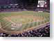 RJWcamdenYards.jpg Sports grass baseball baltimore orioles