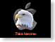 SASeagle.jpg Logos, Apple flags patriotism patriotic terrorism terrorists new york city bombing world trade center pentagon bombing pentagon attack catastrophe tragedy american united states of america pride unity September 11, 2001