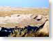 SD02badlands.jpg national parks regional parks national monuments wild yellow mountains Landscapes - Nature photography