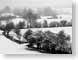 SDsnowField.jpg trees forest woods woodlands snow white river creek stream water black and white bw grayscale black & white Landscapes - Rural