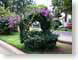 SP3bougainvillea.jpg Flora - Flower Blossoms city urban photography