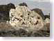 SPbrushOutcrop.jpg desert stones rocks Landscapes - Nature nevada photography