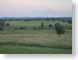 SPbucolicTexas.jpg sunrise sunset dawn dusk Landscapes - Rural photography cows bovine mammals animals fields crops