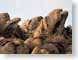 SPgraniteGrabbrs.jpg stones rocks Landscapes - Nature nevada photography