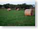 SPhayBalesAwait.jpg grass Landscapes - Rural green texas photography fields crops