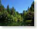 SPsierraFoothill.jpg trees forest woods woodlands lakes ponds water loch Landscapes - Nature green
