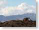 SPtrishSez.jpg desert clouds Landscapes - Nature nevada photography