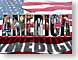 TJamerica.jpg flags patriotism patriotic terrorism terrorists new york city bombing world trade center pentagon bombing pentagon attack catastrophe tragedy american united states of america pride unity September 11, 2001