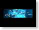 TJeauEtLum.jpg Art water black computer generated images cgi blue lights