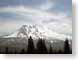 TKmtShasta.jpg clouds trees forest woods woodlands snow white mountains Landscapes - Nature