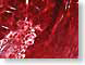 TLSpinecone.jpg Flora ruby red cells microbiology microscope magnified