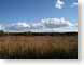 TMUopenField.jpg clouds Landscapes - Rural brown blue photography fields crops