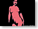 Tazl026Explicit.gif Show some skin strawberry pink women woman female girls nudity nudes skin flesh