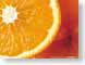 Tazl18Orange.jpg Still Life Photos fruit