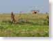 VHbygoneDays.jpg buildings grass Landscapes - Rural green photography fields crops