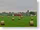 VHfreshlyRolled.jpg farm Landscapes - Rural green photography fields crops oklahoma