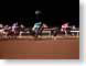 VHhorseRace.jpg Sports race racing night horses equine mammals animals photography