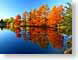 VHmirrorImage.jpg Landscapes - Water trees forest woods woodlands fall colors Landscapes - Nature photography