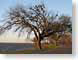 VHpmOverholser.jpg Flora road street photography tree branches oklahoma