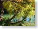 VHrestfulPlace.jpg trees forest woods woodlands lakes ponds water loch Landscapes - Nature photography
