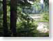VVmattawaRiver.jpg wild trees forest woods woodlands river creek stream water Landscapes - Nature
