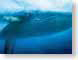 WJLvR03Nemo.jpg Animation Movies disney fish sealife animals ocean water blue pixar Under Water